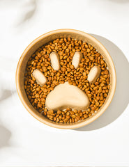 2-in-1 Paw-shaped Water & Slow Feeder Bowls