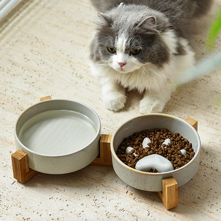 2-in-1 Paw-shaped Water & Slow Feeder Bowls