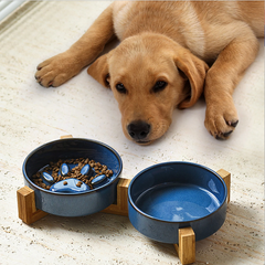 2-in-1 Paw-shaped Water & Slow Feeder Bowls