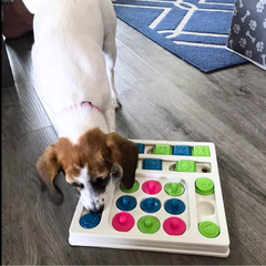 Interactive Puzzle Toy Slow Feeder (Level 3)